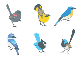 Set Paradis bird vector