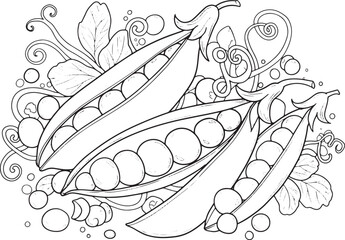 Detailed monochrome illustration of open pea pods with leaves an