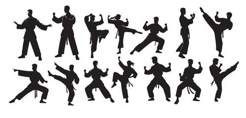 silhouette of people isolated on white background wushu 