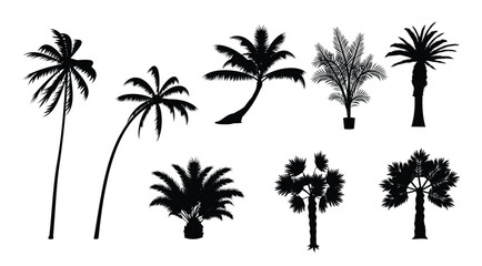silhouette palmetto vector