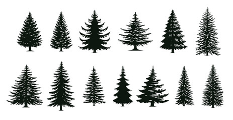 Obraz premium silhouettes of various evergreen trees showcasing different