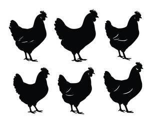 Simple Black Silhouette of six Chickens