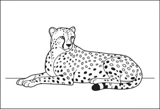 Simple black and white line drawing of a cheetah lying down for