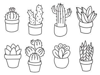 succulents cactus in pots set outline illustration