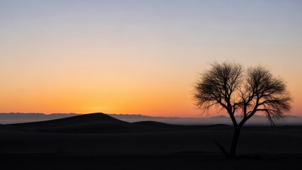 Lone tree silhouette against a colorful sunset sky