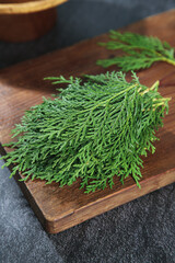Fresh Cypress Branches with Water Droplets on Wooden Cutting Board - Natural Evergreen Foliage