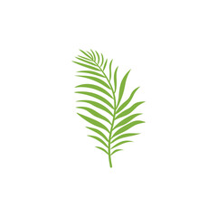 Tropical leaves. Cartoon jungle exotic palm plants. Vector illustration.