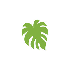 Tropical leaves. Cartoon jungle exotic palm plants. Vector illustration.