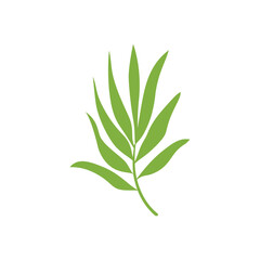 Tropical leaves. Cartoon jungle exotic palm plants. Vector illustration.