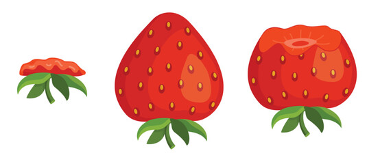 strawberry eating steps icon set stages of biting red berry