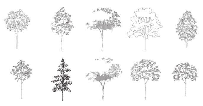 ree line drawing side view graphics trees elements single