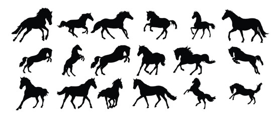 the set of horse silhouette collection