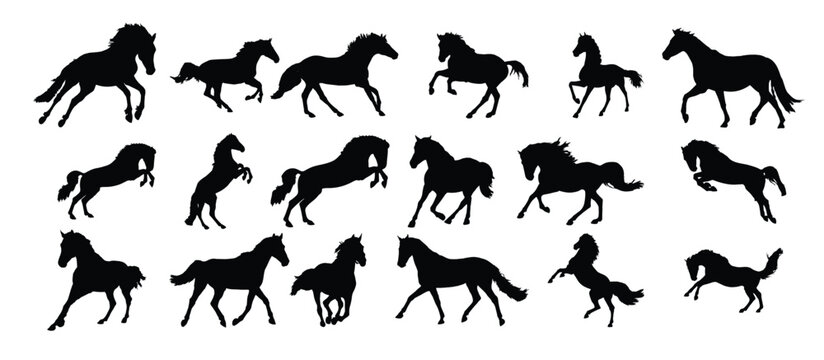the set of horse silhouette collection