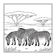 Zebra grazing in African Savanna: A depiction of a herd of zebras grazing peacefully amidst the tall grasses and iconic acacia trees under the open savanna sky.