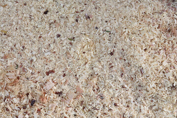 Heap of sawdust spreading. Sawdust floor texture top view.