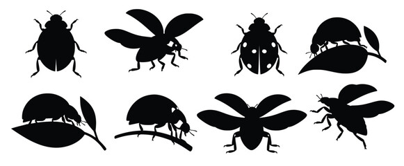 various ladybug silhouettes isolated on white background