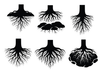 various tree root silhouettes isolated on white background