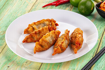 Asian fried stuffed dumplings gyoza