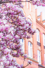 Gliwice, Silesia | Poland