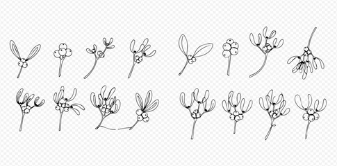 Line art illustrations of mistletoe branches with leaves and berries, perfect for holiday designs and winter themes.