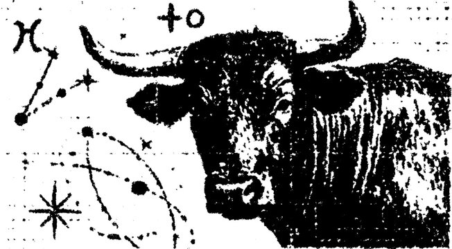 Bull symbol in black and white with zodiac constellation elements. Simple vector illustration featuring celestial patterns in a cohesive set.