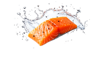 鮮やかなサーモン切り身が際立つ立体的で食欲を誘うビジュアル｜背景なし・透過PNG・コピースペース
