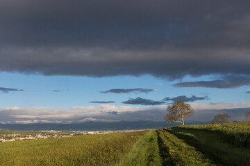 Obraz premium chemin à la campagne dans le Puy de Dôme en France au printemps