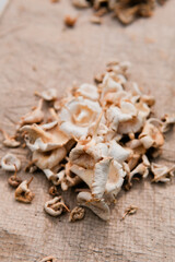 Dried mushrooms on rustic burlap background in natural light
