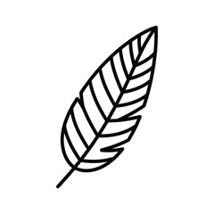 Stylized botanical line art illustration of a single leaf with prominent veins and stem
