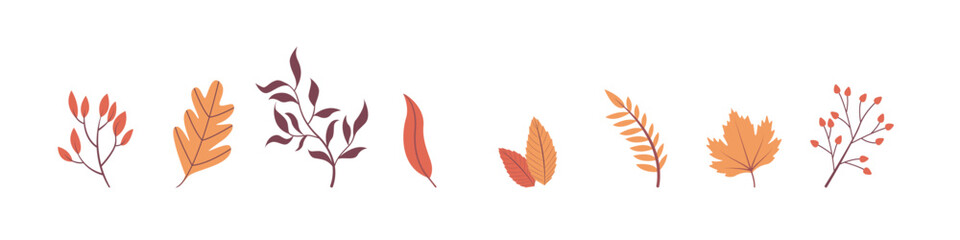 Autumn vector set of bright colorful autumn leaves. Set autumn plants and leaves minimalist flat design floral. Autumn leaves and berries botanical doodle set with umbrella and floral hand drawn fall.