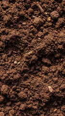Close-up of Rich Brown Soil