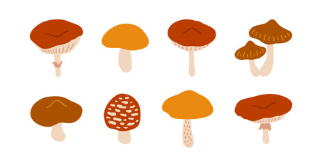 Set of different mushrooms. Simple autumn icons on white background. Forest edible and poisonous wild fungus, flat style vector illustration. Brown, red, orange, and beige colors