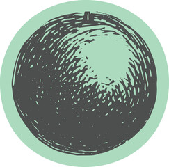 Orange fruit graphic in a flat design. This vector illustration shows a healthy food icon on a green background.