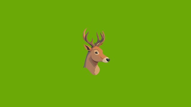 Christmas themed icon animation with green screen background 