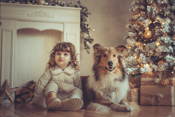 H&uuml;bsches kleines M&auml;dchen mit Locken sitzt mit ihrem rough Collie  sable vor dem Weihnachtsbaum zu Weihnachten, Abendstimmung mit Lichtern Var. 13