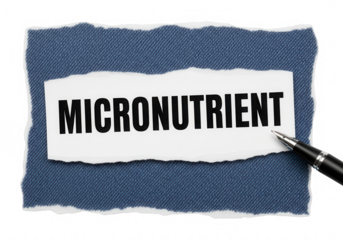 Micronutrient word on torn paper, conceptualizing essential elements for health, vitality, and well-being.