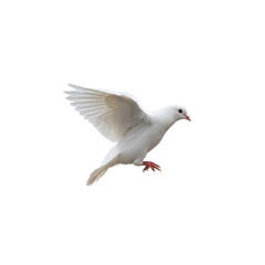 Obraz premium White dove in flight against a background symbolizing peace and freedom