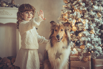 H&uuml;bsches kleines M&auml;dchen mit Locken steht mit ihrem rough Collie  sable vor dem Weihnachtsbaum zu Weihnachten, Abendstimmung mit Lichtern Var. 1
