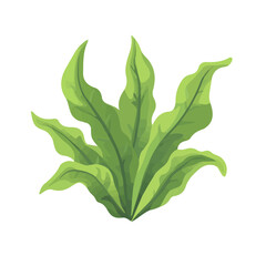 2D flat vector illustration of Staghorn Fern, designed in a clean icon style and isolated on a white background.