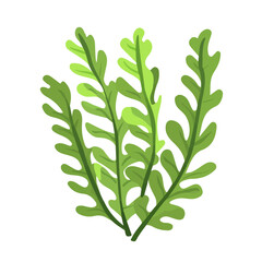 Minimal 2D vector illustration of Water Fern in flat icon style on a plain white background.