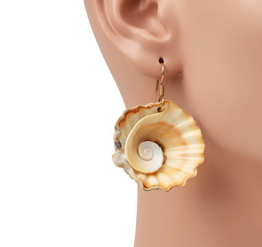 Sea shell jewelry earrings 