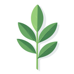 2D flat vector illustration of Sage, clean and minimal icon style, isolated on white background.