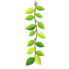 2D flat vector illustration of Watch Chain Plant, designed in a clean icon style and isolated on a white background.