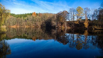 autumn nature in bohemian forest cesky les in czechia