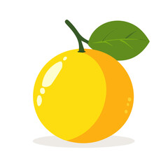 Minimal 2D vector illustration of Yuzu in flat icon style on a plain white background.