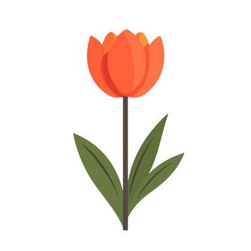 Modern flat 2D vector illustration of Rougaille, clean and minimal design, isolated on white background.