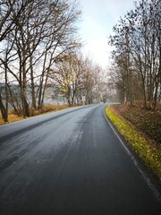 autumn nature in bohemian forest cesky les in czechia