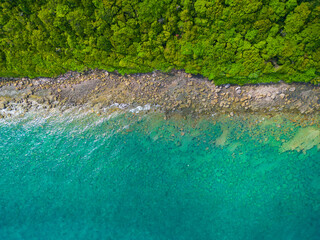 Tropical green forest island sea beach wave tranquil nature summer vacation