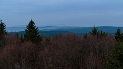 autumn nature in bohemian forest cesky les in czechia
