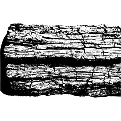 Obraz premium Illustration of a wood pattern isolated on hand drawn vector illustration of a tree wood texture black and white drawing of a tree wood